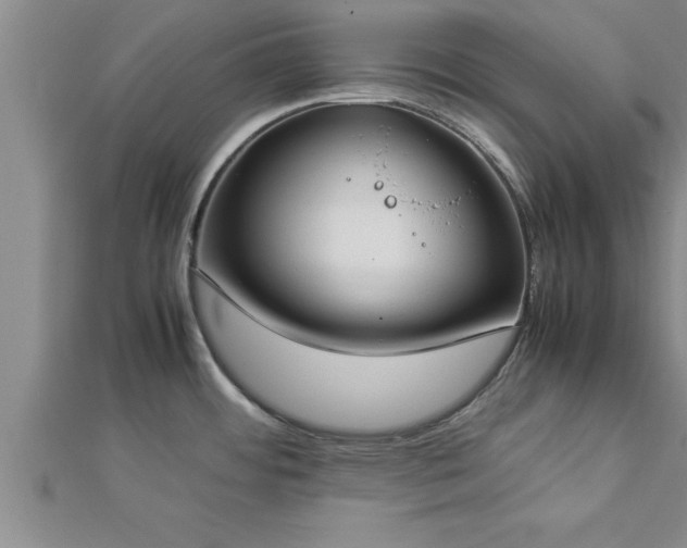 X0000112871484200908281614