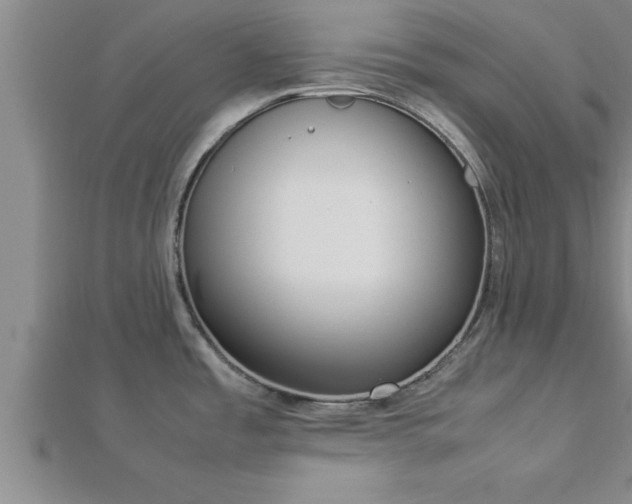 X0000112871485200908281614