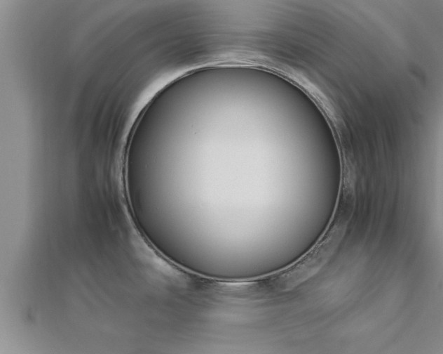 X0000112871486200908281614