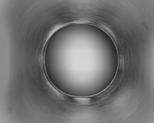 X0000112871487200908281614