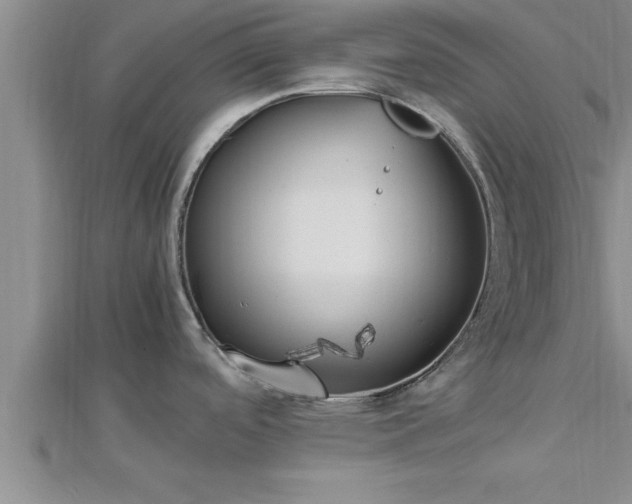 X0000112871488200908281614