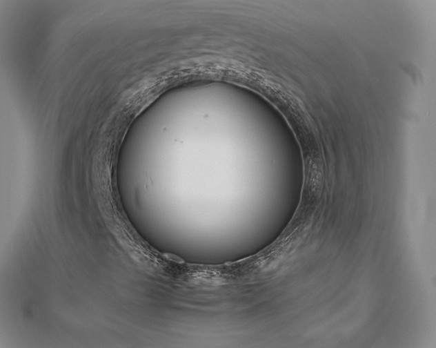 X0000112871489200908281614