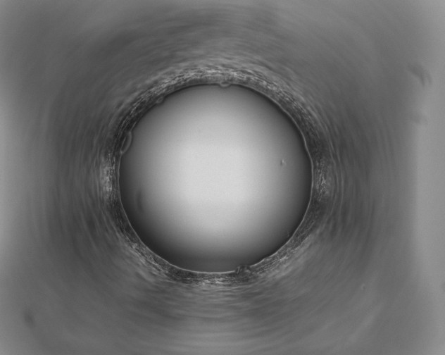 X0000112871490200908281614