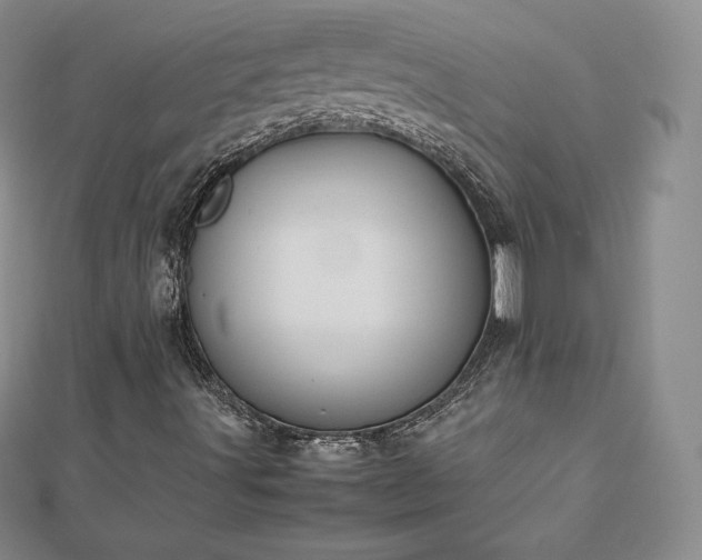 X0000112871491200908281614