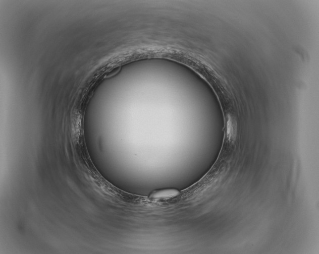 X0000112871492200908281614