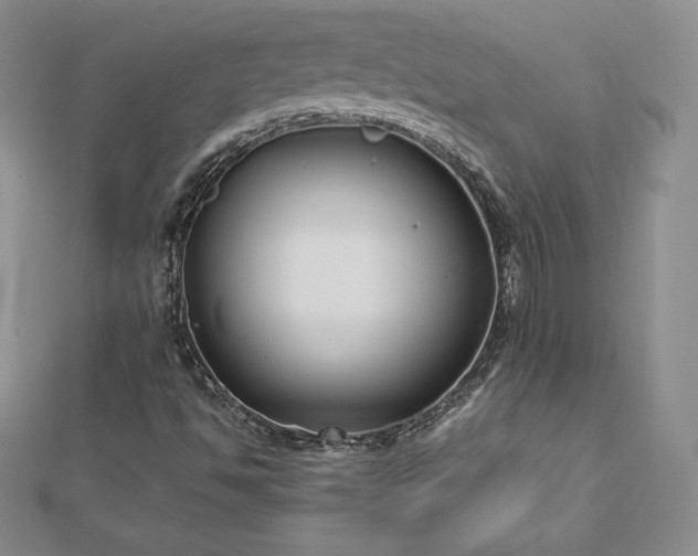 X0000112871494200908281614