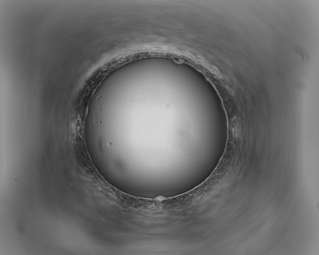 X0000112871495200908281614