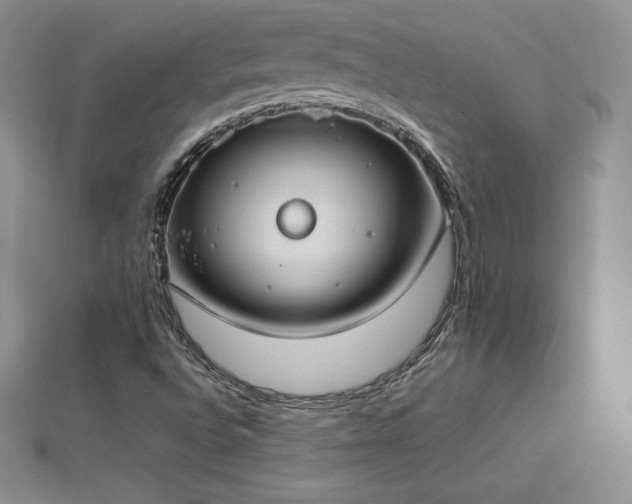 X0000112871496200908281614