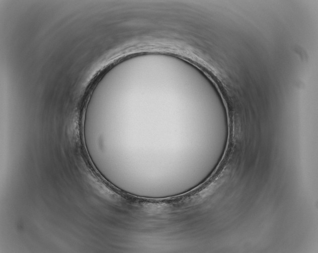 X0000112871498200908281614