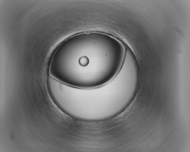 X0000112871500200908281614