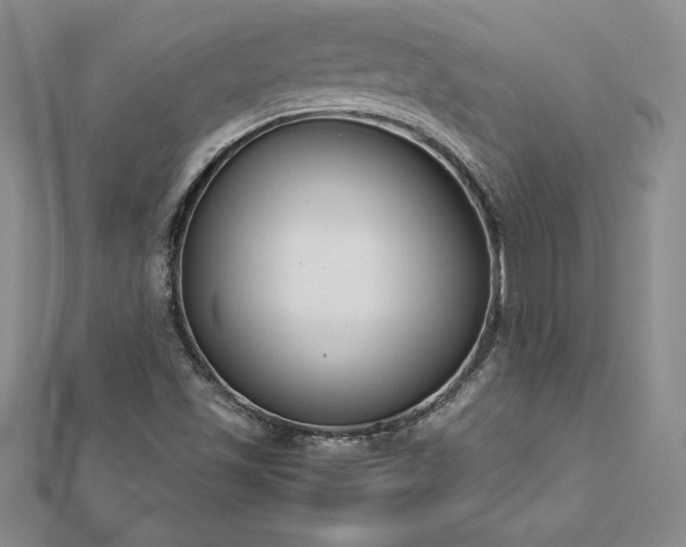 X0000112871501200908281614