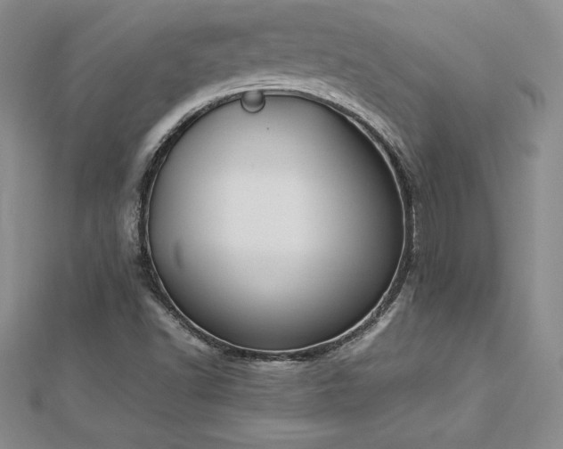 X0000112871502200908281614