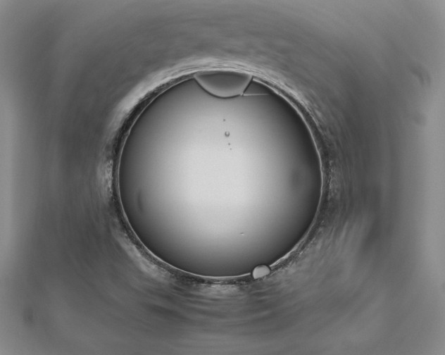 X0000112871503200908281614