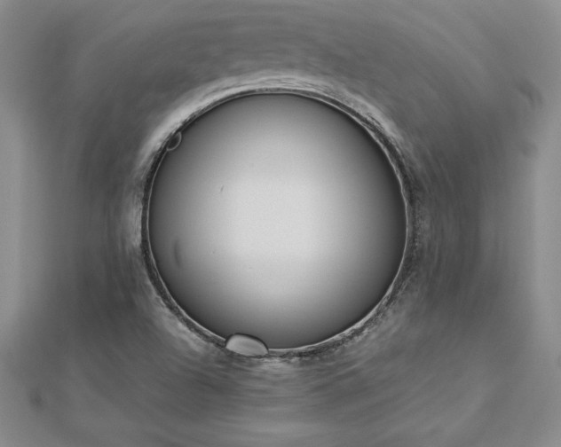 X0000112871504200908281614