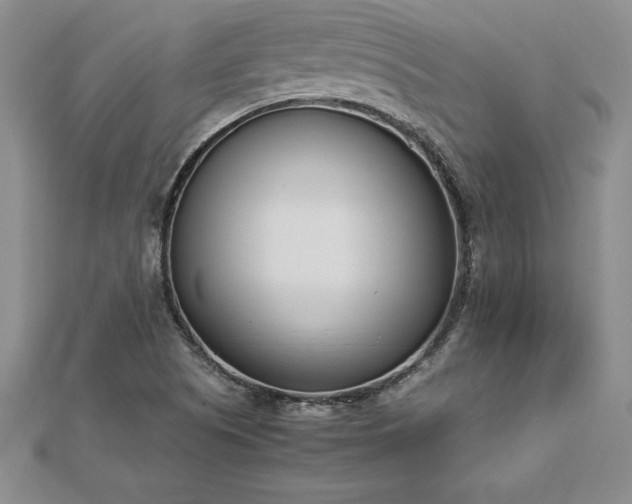 X0000112871505200908281614