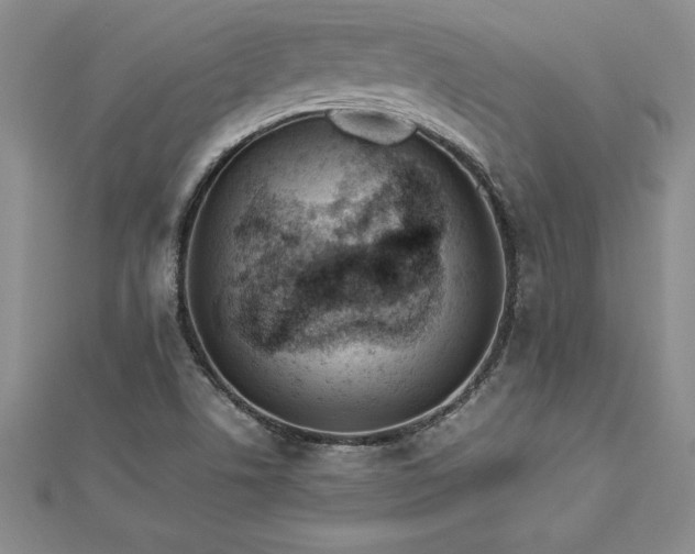 X0000112871506200908281614