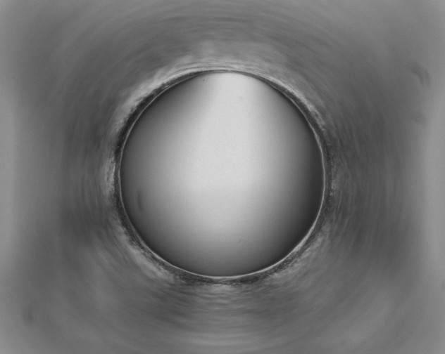 X0000112871507200908281614