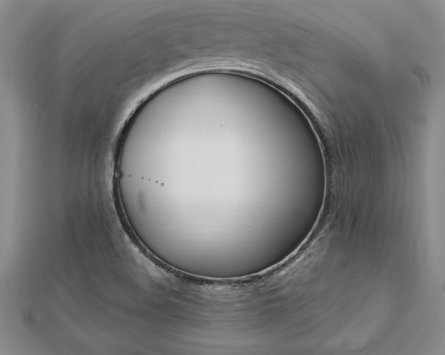 X0000112871508200908281614