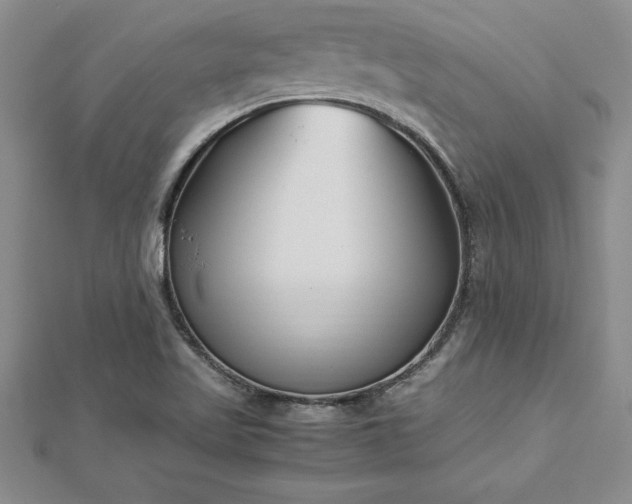 X0000112871509200908281614