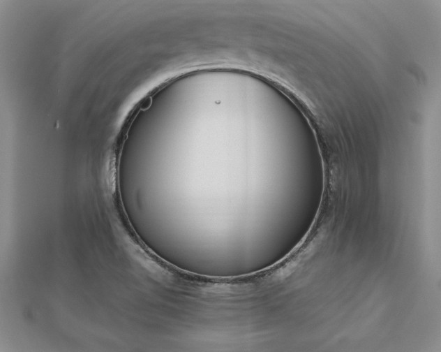 X0000112871510200908281614