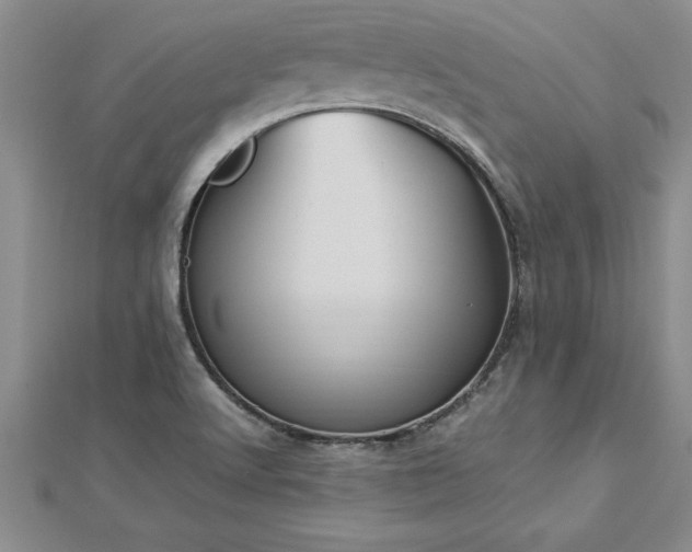 X0000112871512200908281614