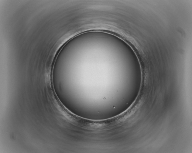 X0000112871513200908281614