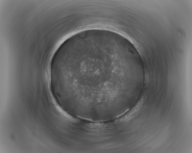 X0000112871515200908281614