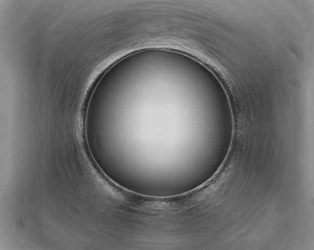 X0000112871517200908281614