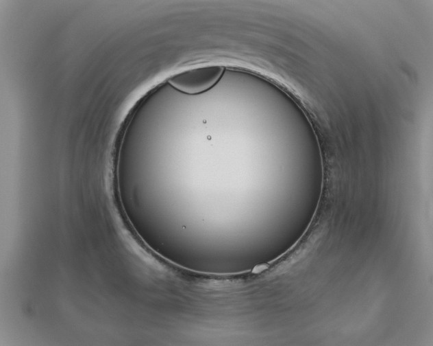 X0000112871518200908281614