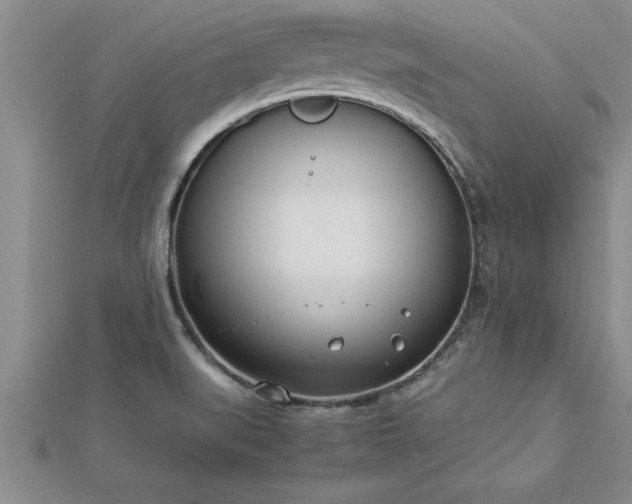 X0000112871519200908281614