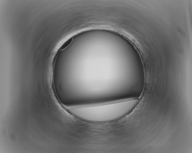 X0000112871520200908281614