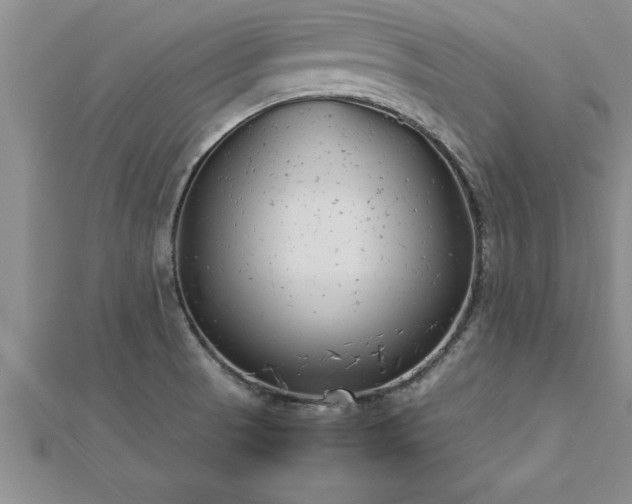 X0000112871521200908281614