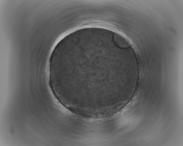 X0000112871522200908281614