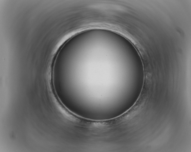 X0000112871523200908281614