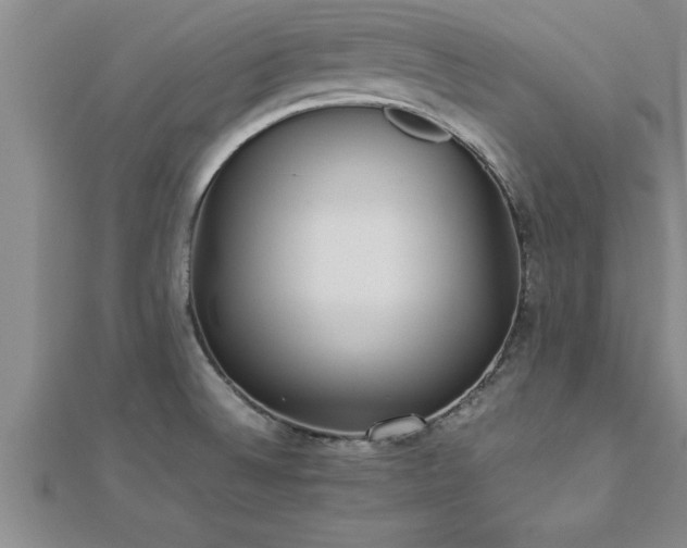 X0000112871524200908281614