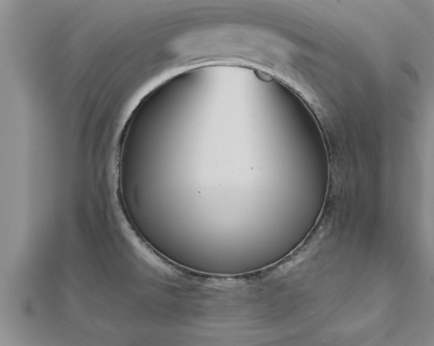 X0000112871526200908281614