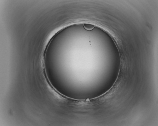 X0000112871527200908281614