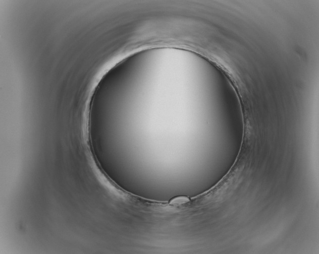 X0000112871528200908281614