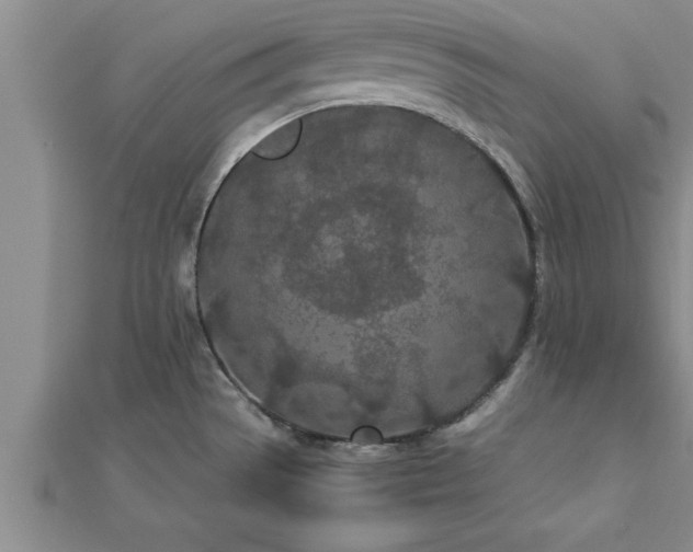 X0000112871529200908281614