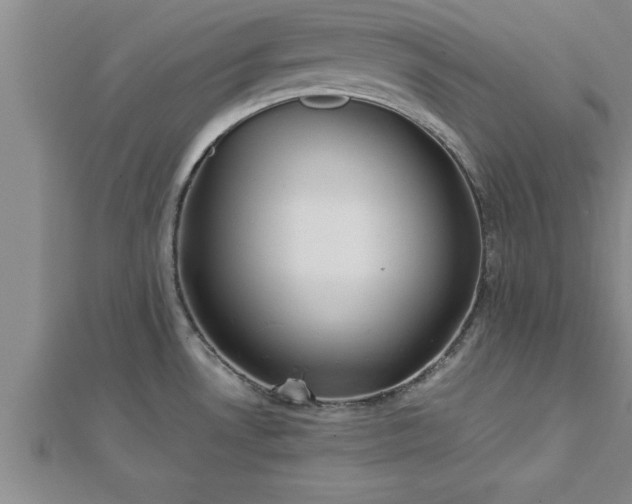 X0000112871530200908281614