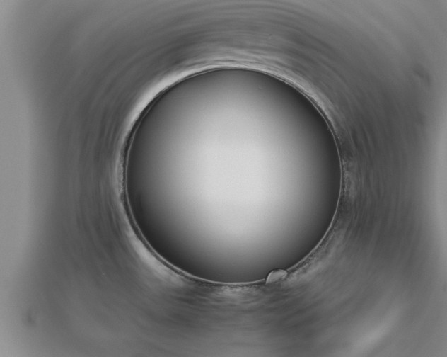 X0000112871531200908281614