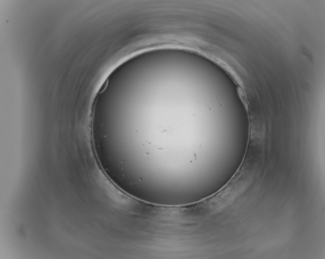 X0000112871532200908281614