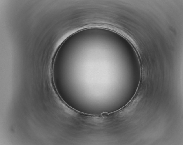 X0000112871533200908281614