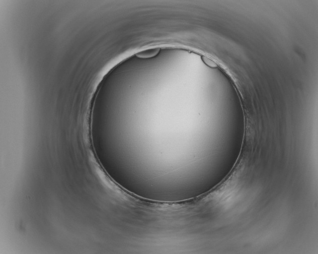 X0000112871534200908281614