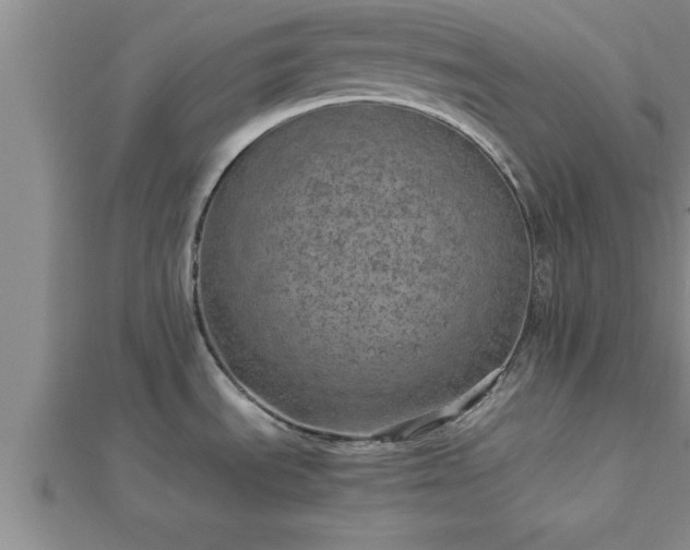 X0000112871535200908281614