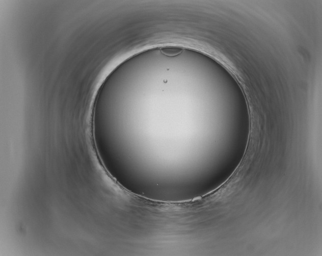 X0000112871536200908281614