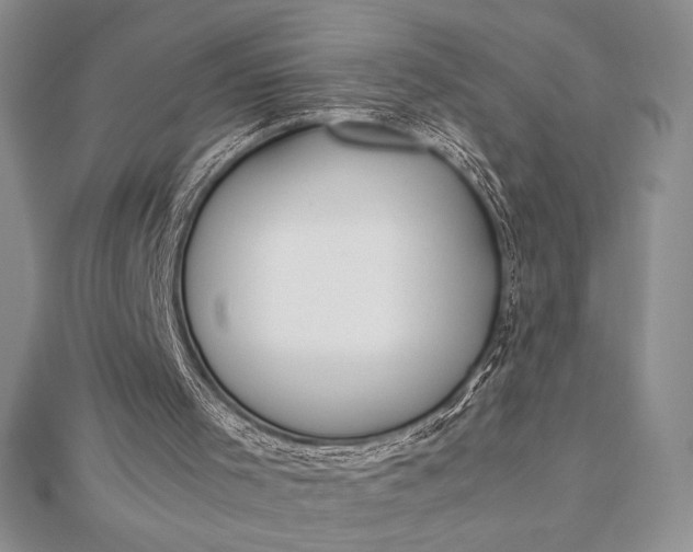 X0000112870001200909041630