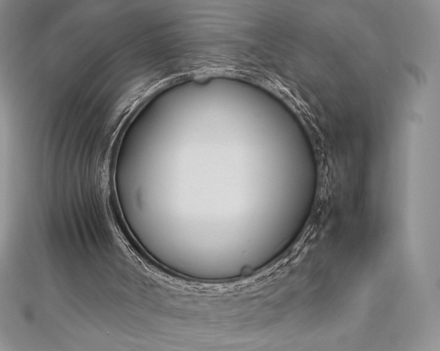 X0000112870002200909041630