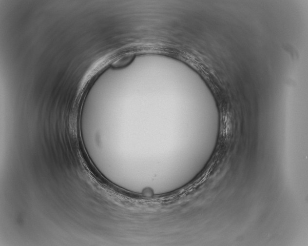 X0000112870004200909041630