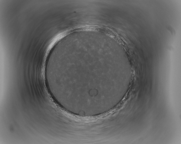 X0000112870006200909041630